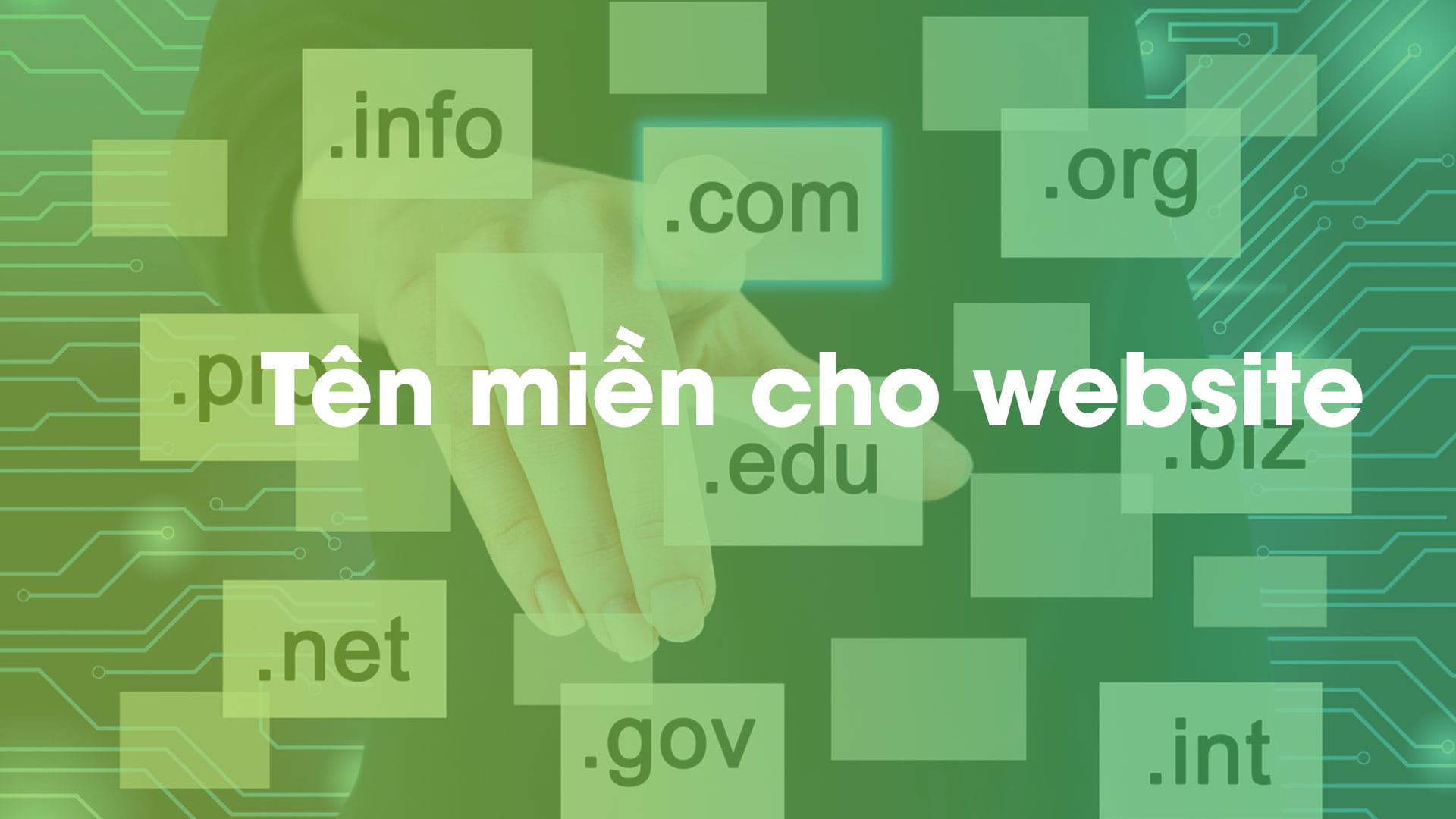 Thiết Kế Website Chuyên Nghiệp 2025: Hướng Dẫn Toàn Diện Từ Dabilux